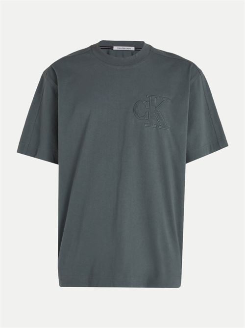 ck applique tee CALVIN KLEIN JEANS | J30J325657PSL